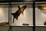 110pielgrzym.jpg