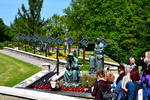 15debowiec.jpg