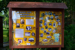 24andrzejbobola.jpg