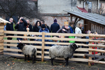 56orszak18.jpg
