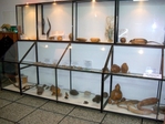 muzeum07.jpg